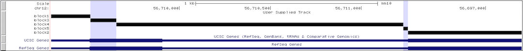 Multi-Region bed custom output