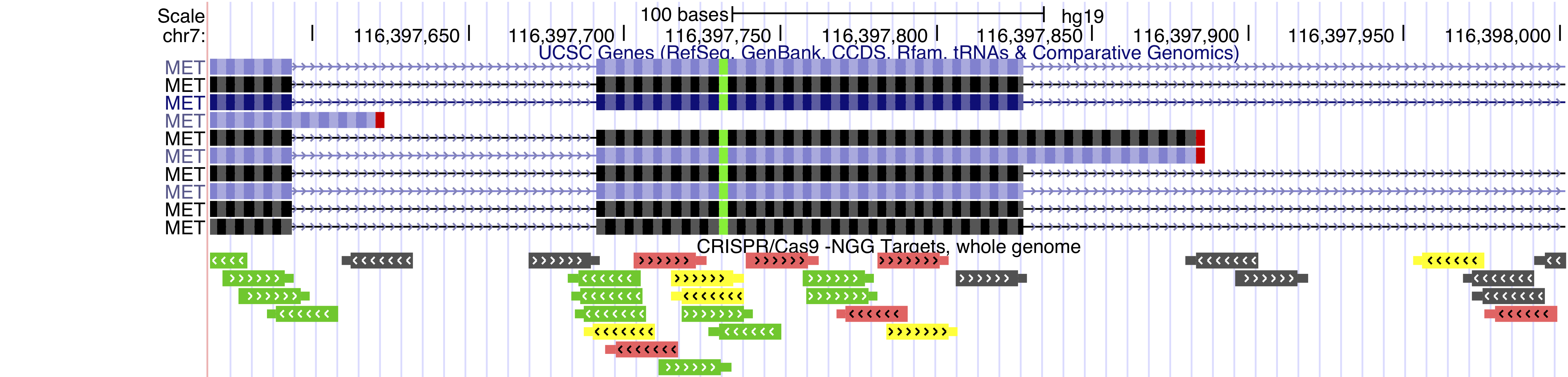 CrisprAllTargets track